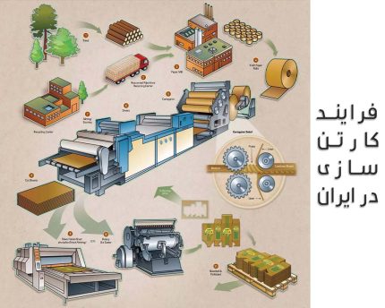 فرایند کارتن سازی در ایران [ 7 مرحله کلیدی و مهم ]